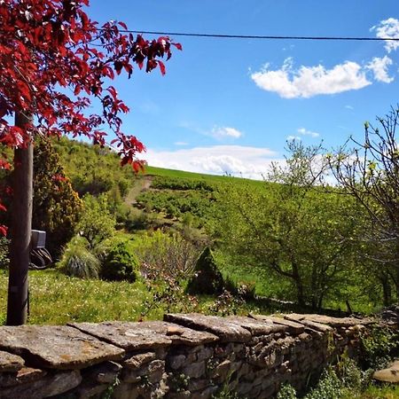 Agriturismo Locanda Dei Cacciatori 多利亚尼 外观 照片