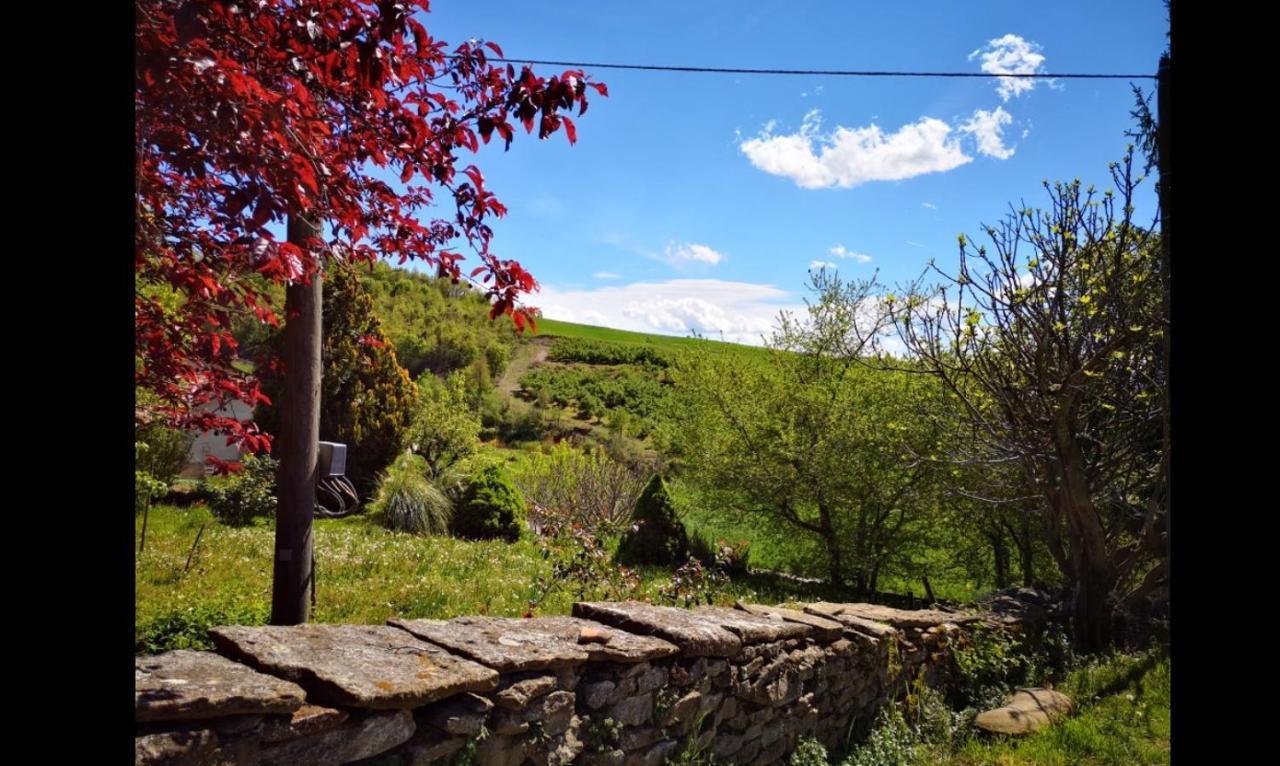 Agriturismo Locanda Dei Cacciatori 多利亚尼 外观 照片